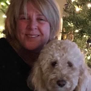 Meet your Posher, Dawn